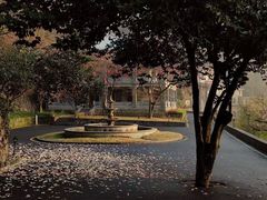 -莫干山风景区