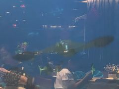 -海棠湾洲际-涛·海底餐厅·美人鱼·自助餐·海底隧道