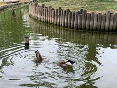 -三里河公园