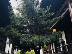 -常熟方塔园