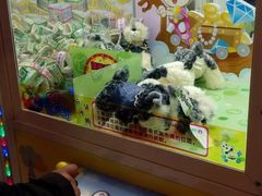 -汤姆熊欢乐世界(罗斯福店)
