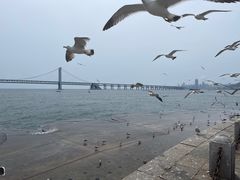 -星海广场