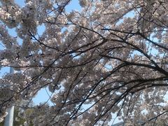 -棒棰岛宾馆景区