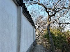 -上海佘山国家森林公园天马山园