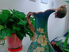 -成记海鲜粥(意大利风情街店)