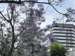 -成都市活水公园