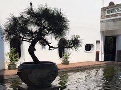 -东莞市可园博物馆