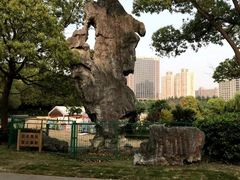 -黄兴公园