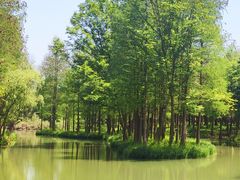 -西溪国家湿地公园