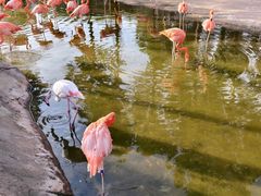 -鄂尔多斯野生动物园