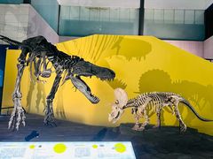 -湖南省地质博物馆