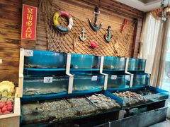 -船泊丽港(统一路店)
