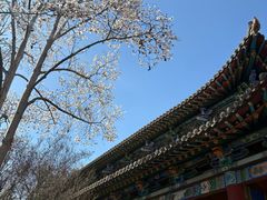 -碑林公园
