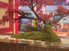 -牛New寿喜烧(中山公园龙之梦店)