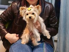 -它主义宠物(梁溪万达店)