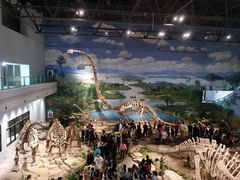 -自贡恐龙博物馆