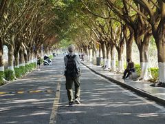 -风云岭森林公园