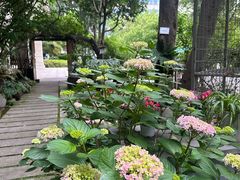 -谷咖啡·鲜花绿植花园餐厅