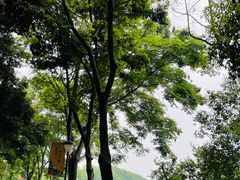 -塔子山公园