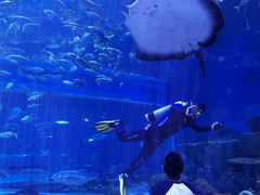 -华夏文旅海洋公园