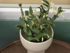 -南堂馆·新川菜(春熙路店)