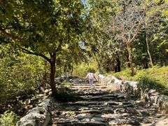 -阳台山自然风景区