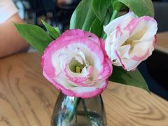 -gaga(深圳南山益田假日广场店)