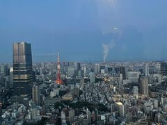 -六本木新城展望台(东京城市景观)