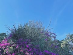 -上海海事大学(临港校区)