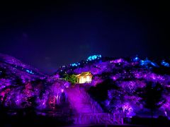 -印象普陀