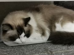 -零纪元VR体验馆·桌游(黄浦店)