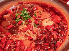 重庆毛血旺-小资太太餐厅(南岗区店)