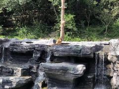 -宁波野生动物园