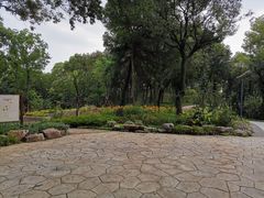 -上海市保健医疗中心