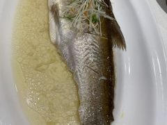 -绿杨春·淮扬宴(庐山路店)