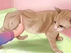 -子乐宠物医院