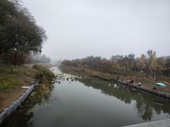 -大兴滨河森林公园