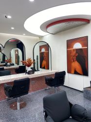 点击看大图 -IP SALON