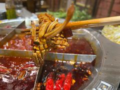 -大龙火锅(老店)
