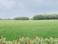 -嘉北郊野公园