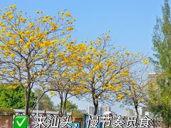 -金砂公园