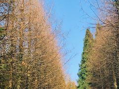 -山王坪喀斯特国家生态公园