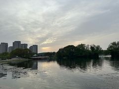 -新江湾城公园