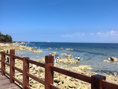 -养马岛旅游度假区