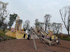 -铁山坪森林公园