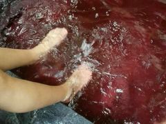 -黄山温泉国际旅游度假区