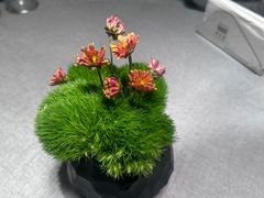 -南堂馆·新川菜(春熙路店)