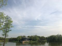 -尚贤河湿地