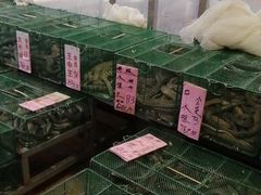 水产区-荔城生鲜盛宴(番禺旗舰店)