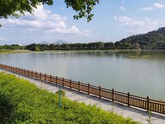 -风云岭森林公园